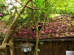 R roof hole
